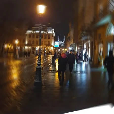 Appartamento у шевальє. Leopoli