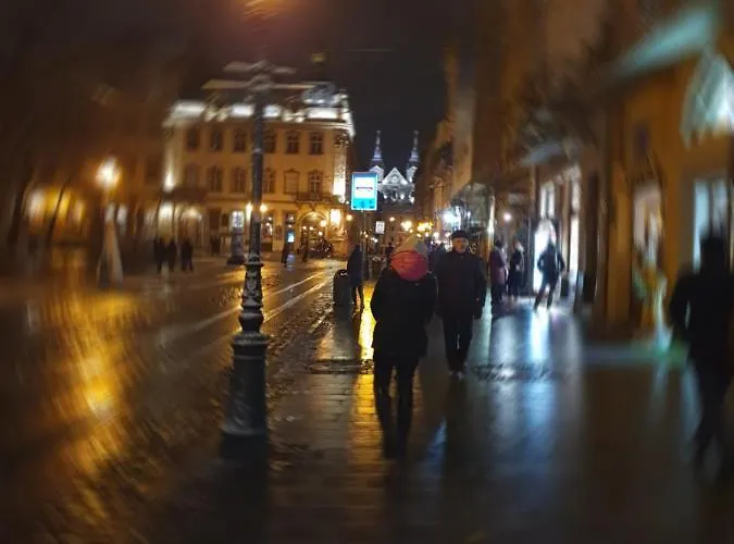 Lägenhet у шевальє. Lviv